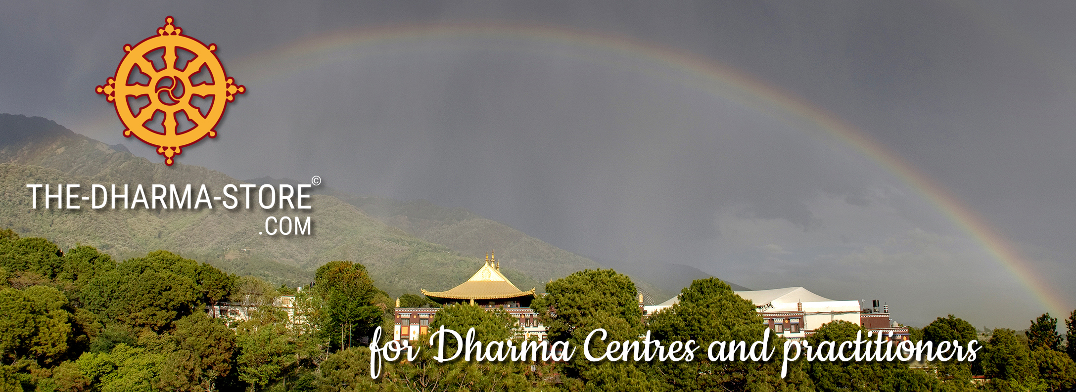 the-dharma-store.com